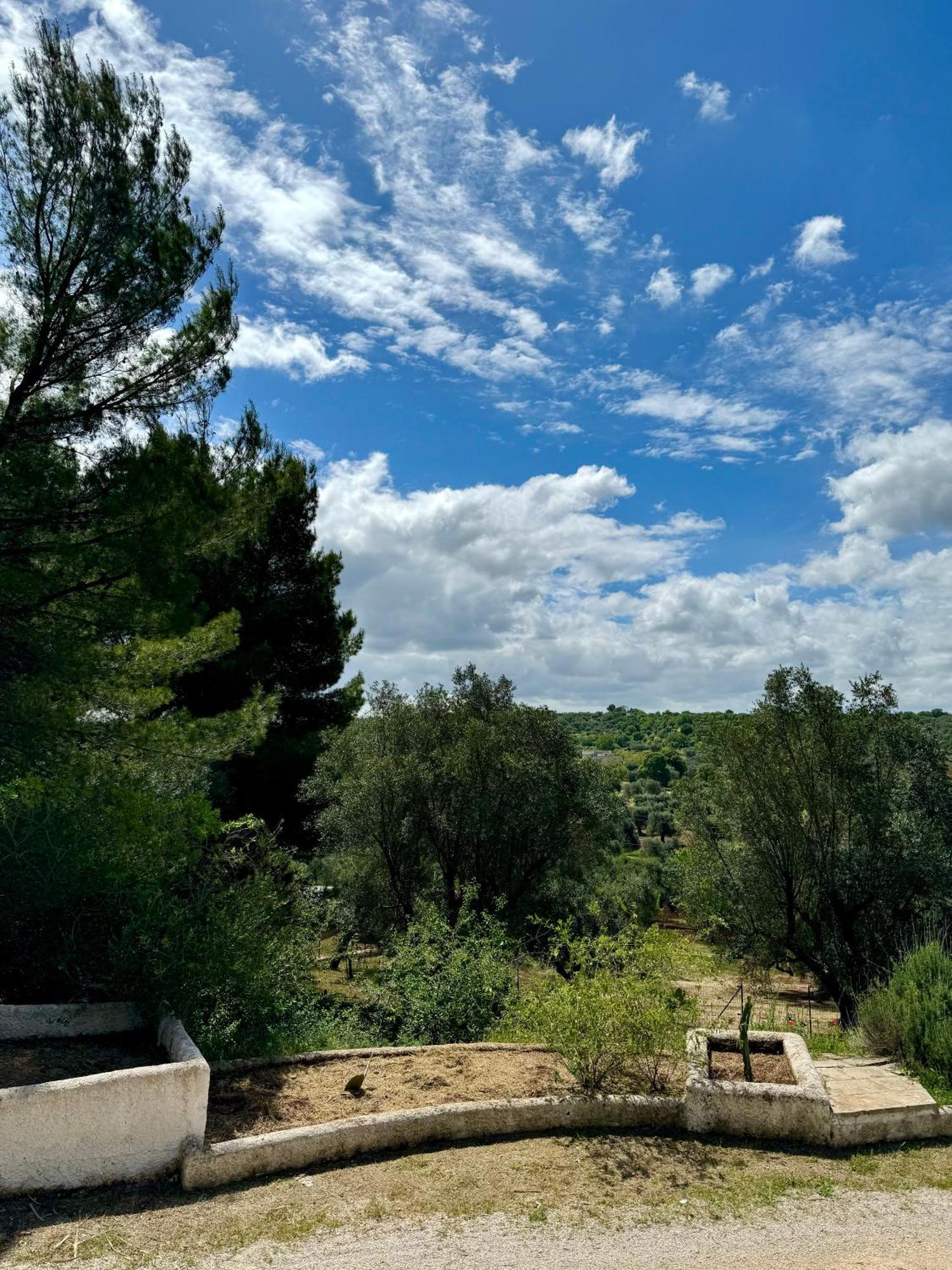 Trulli Nel Bosco Itria Valley Ceglie Messapica Exterior foto